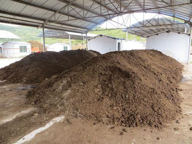 雞糞有機(jī)肥發(fā)酵過程